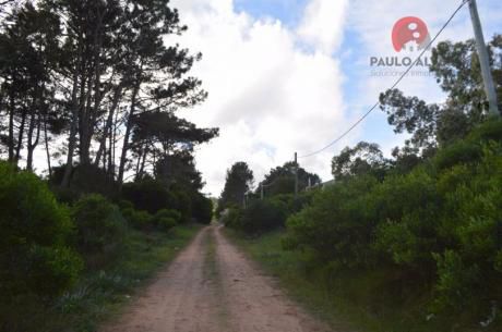 Terreno En Punta Colorada ( Te 427 )