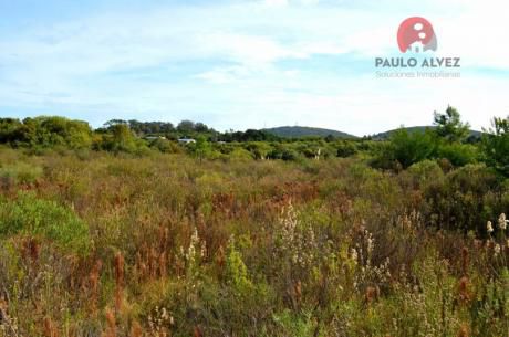 Terreno En Punta Colorada ( Te 644 )