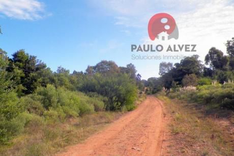 Terreno En Punta Colorada ( Te 498 )