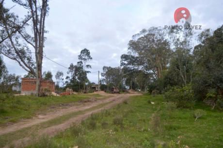 Terrenos En Punta Colorada ( Te 711 )
