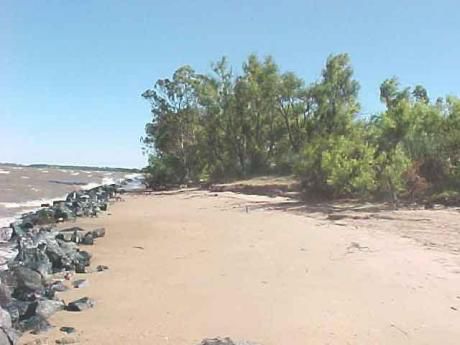 Playa La Arenisca