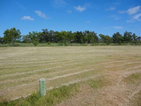 Real De San Carlos Village & Golf Lote 19