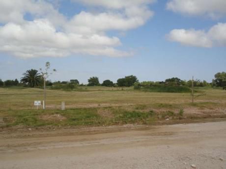 Real De San Carlos Village & Golf Lote 10