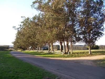 Avenida Eguzquiza (miramar Acres)