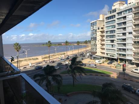 Frente Al Mar Gran Monoambiente Dividido.