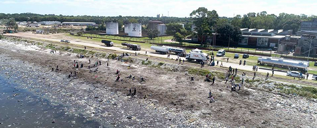 Cientos de voluntarios limpiaron la Playa Capurro
