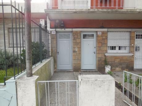 Apartamentos En Buceo