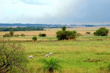 Oferta De Campo Agroganadero