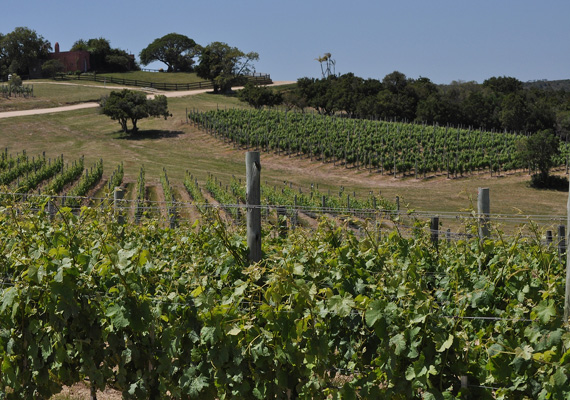 santa-rita-collinas-garzon.jpg