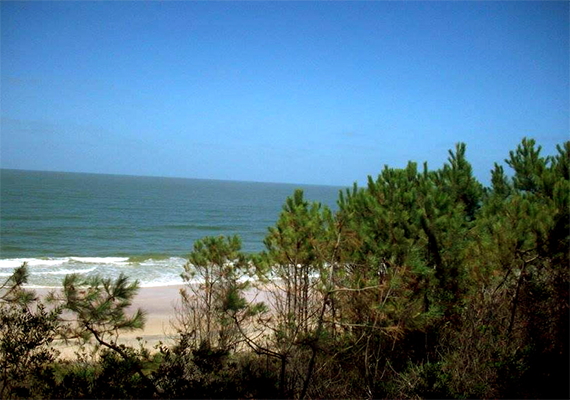 Playa-Fortin_1.png