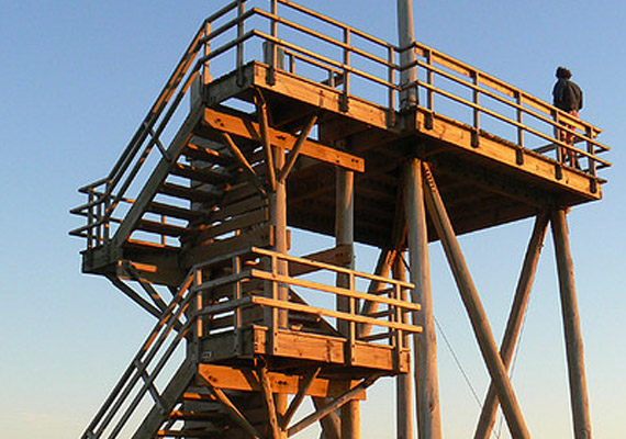 mirador ballenas punta chileno.jpg