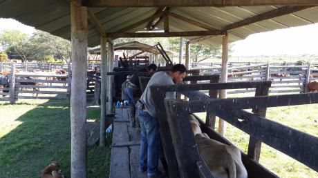 Estancia En Cadete Pando – Chaco Paraguayo