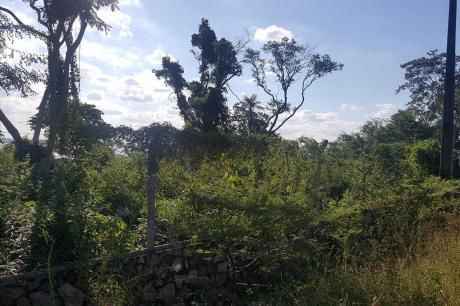 Terreno En San Bernardino, Cordillera