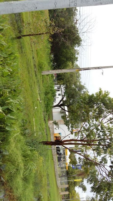 Vendo 2 Hermosos Terrenos En San Bernardino Totalmente Limpios