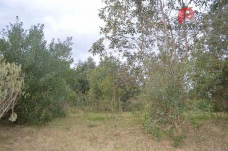 Terreno En Punta Colorada ( Te 708 )