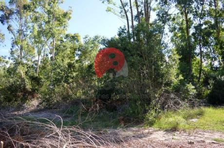 Terreno En Punta Colorada ( Te437)