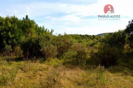 Terreno En Punta Colorada ( Te 638 )