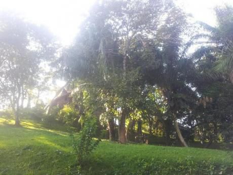 Terreno En Urbanizacion Ecologica El Bosque