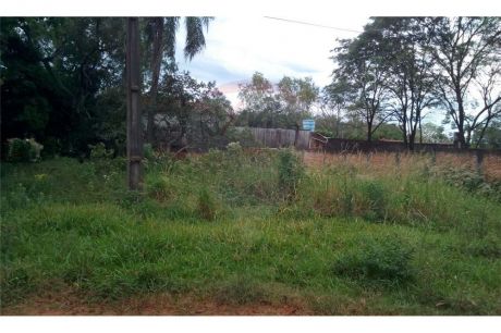 Terreno 1100m2 Zona Jardin De Oro - Luque