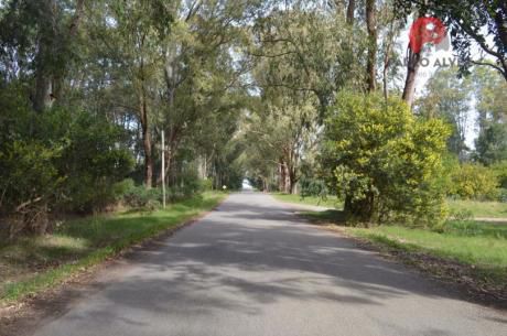 Terreno En Punta Colorada ( Te 410 )