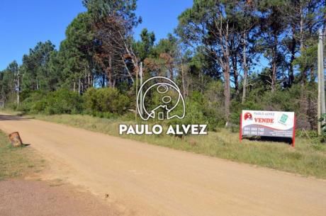 Terreno En Balneario Punta Colorada (te406)