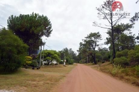 Terreno En Punta Colorada ( Te 729 )