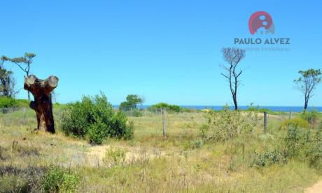 Terreno En Punta Colorada ( Te 599 )