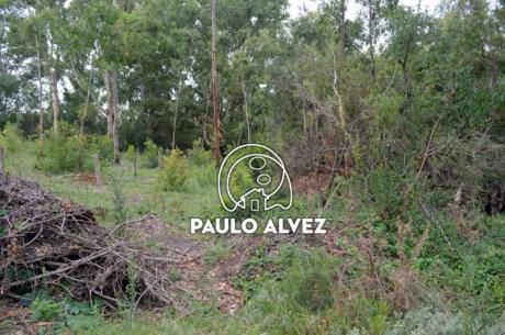 Terreno En Punta Colorada (te785)