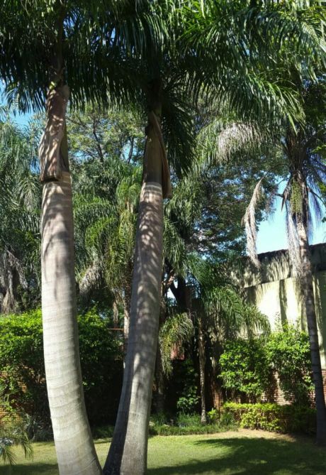Vendo Hermosa Residencia De 7 Dormitorios Zona El Dorado