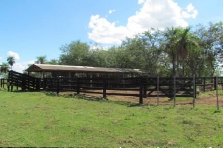 Oferta Campo