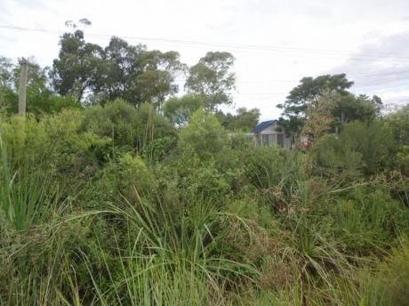 Venta De Terreno En Parque Del Plata Norte 0e0te122pp