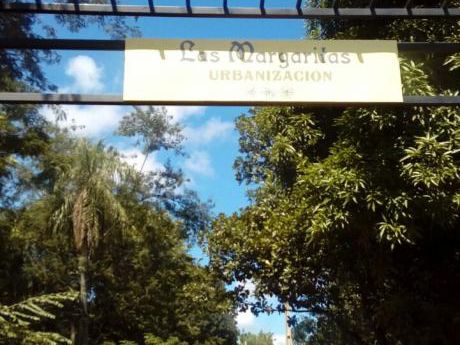 Las Margaritas