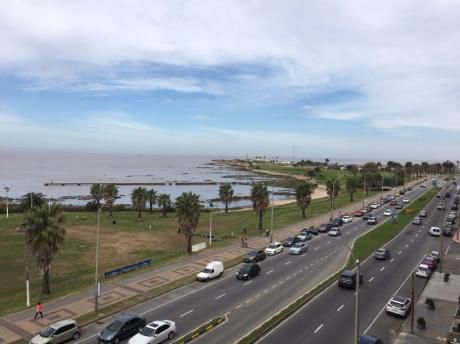 Divina Planta Frente Al Mar