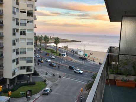 Pasitos Mar. Amplio Apto Para Reciclar
