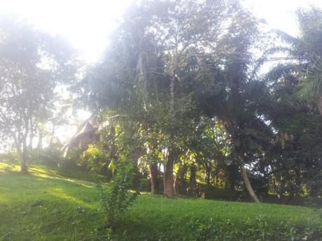 Hermoso Terreno El Urbanizacion Ecologica El Bosque