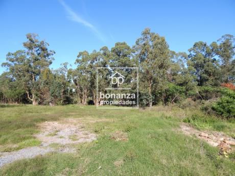 Terreno En Venta Ubicado En Zona Tranquila Y Agradable, Piriápolis