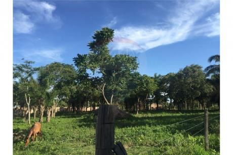 Terreno En Venta Zona Urubo!!! Camino A Porongo Y Bio Centro Guembe