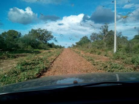 Vendo Campo De 324 Hectareas Camino A Ita
