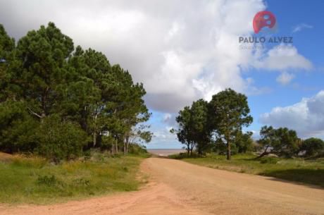 Terreno En Punta Colorada ( Te 420 )