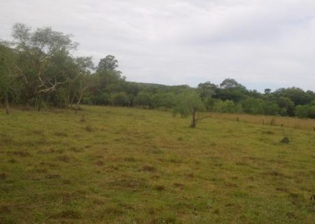 En Cievo Cua, San Bernardino. Vendo 44.000 M2 A Pasos De La Nueva Ruta