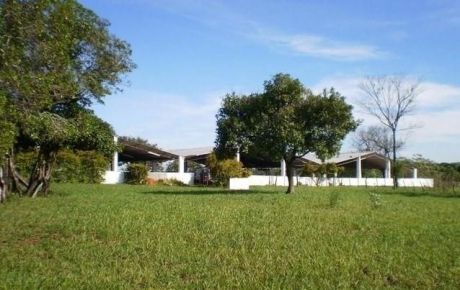 Vendo Terreno De 40 Has En Piribebuy