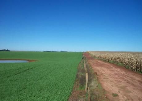Vendo 699 Has De Terreno Agricola - Alto Parana Caaguazu Sobre Lago Yguazu
