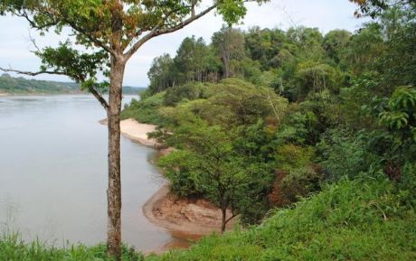 5 Ha En Venta En Carlos Antonio Lopez