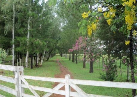 Vendo Lujosa Estancia Con Terreno Agricola De 500 Has En Zona De Piribebuy