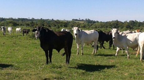Venta De: Estancias Y Campos!!