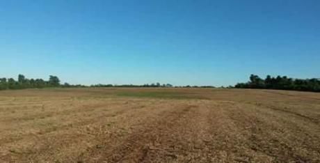 Vendo Campo De 804ha Tierra Agrícola Zona Artigas Itapua!!!