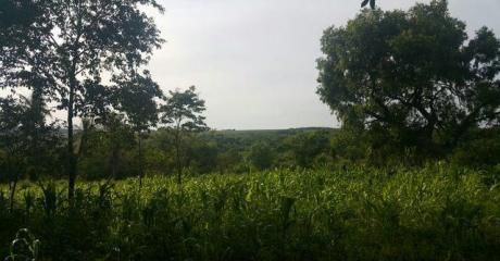 ParaguarÍ, Campo De 69 HectÁreas, Ybycu´ I!!!