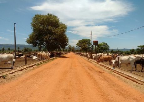 Vendo Campo Para Engorde Intensivo A 70 Kms. De Asuncion