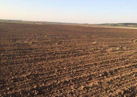 338 Ha Agricola - Alto Parana