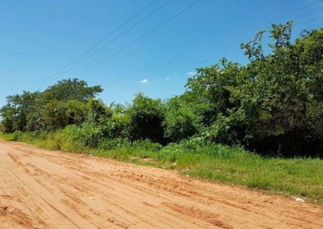 En Colonia Thompson Vendo 2,5 Ha.